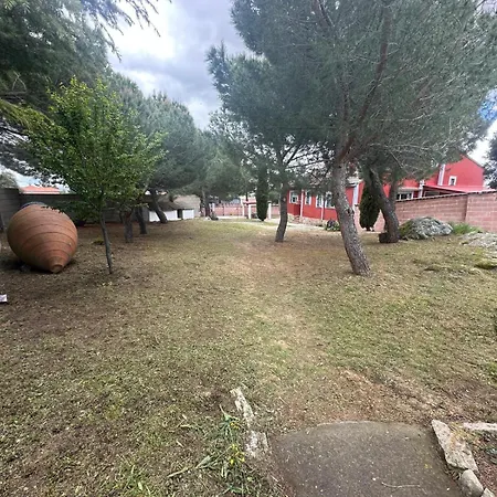 La Picotilla Y La Guija