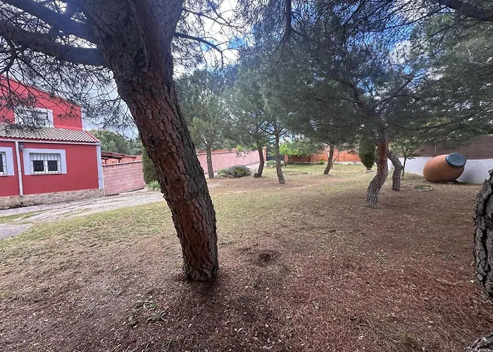 La Picotilla Y La Guija *